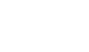 Droomzy